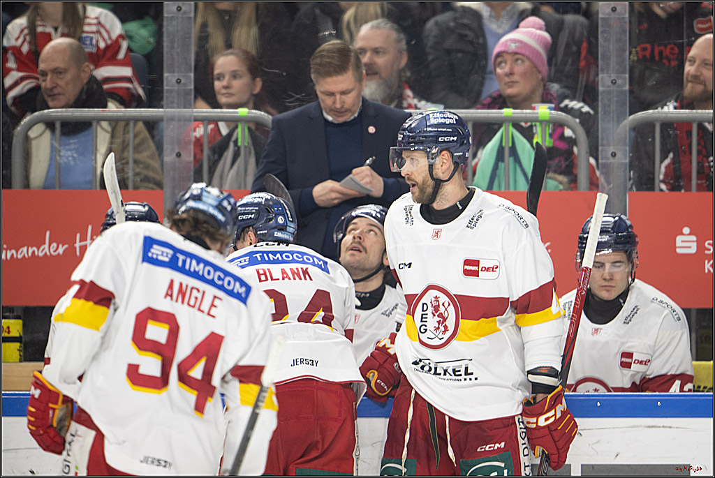 PENNY DEL 1; Kölner Haie - Düsseldorfer EG ; Köln, 16.02.2025
